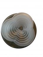 8 Blumen-Ausstechformen – Polymer Clay &amp; Modelliermasse - #520329