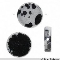 Acryl bead     Nature coin 18mm - #10850