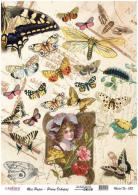 Cadence rijstpapier Vintage - vlinders Model No: 083  30x42cm - #211564