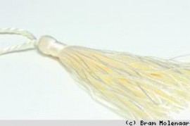Ivory tassels 130mm  - #18355