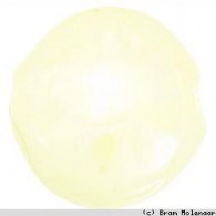 Keramiek kraal plat creme - #15855