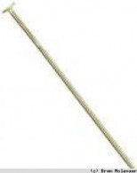 Nietstift Gold - 100gr (36840603) - #19205