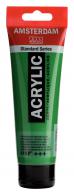 Talens Amsterdam Acrylfarbe 120 ml 618 – Permanentes grünes Licht - #597370