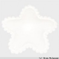 White vinyl Star - #11881